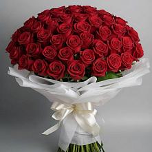 Букет 101 Красная роза Блэк Мэджик #REPLACE_PRED# Тольятти