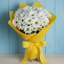 Букет цветов из:  Хризантемы в Тольятти