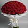 Букет 101 Красная роза Блэк Мэджик в Тольятти