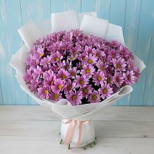 Букет цветов из:  Хризантемы в Тольятти