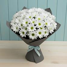 Букет цветов из:  Хризантемы в Тольятти