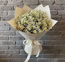 Букет цветов из:  Ромашки в Тольятти