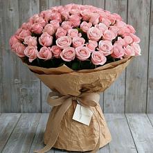 Букет 151 Роза Роуз #REPLACE_PRED# Тольятти