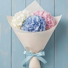 Букет цветов из:  Гортензия в Тольятти