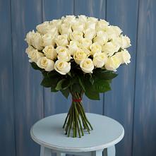 Букет 51 Белая роза Эдлесс Лав #REPLACE_PRED# Тольятти