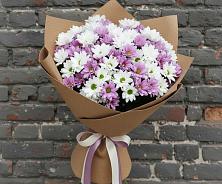 Букет цветов из:  Хризантемы в Тольятти