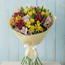 Букет цветов из:  Альстромерии в Тольятти
