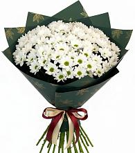 Букет цветов из:  Хризантемы #REPLACE_PRED# Тольятти