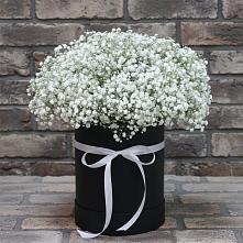 Цветочная композиция из Гипсофила в шляпной коробке в Тольятти