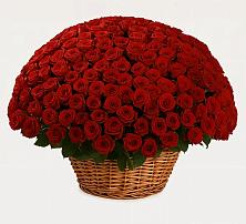 Премиум букет из: Розы #REPLACE_PRED# Тольятти