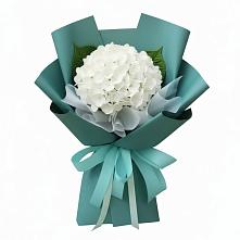 Букет цветов из:  Гортензия в Тольятти